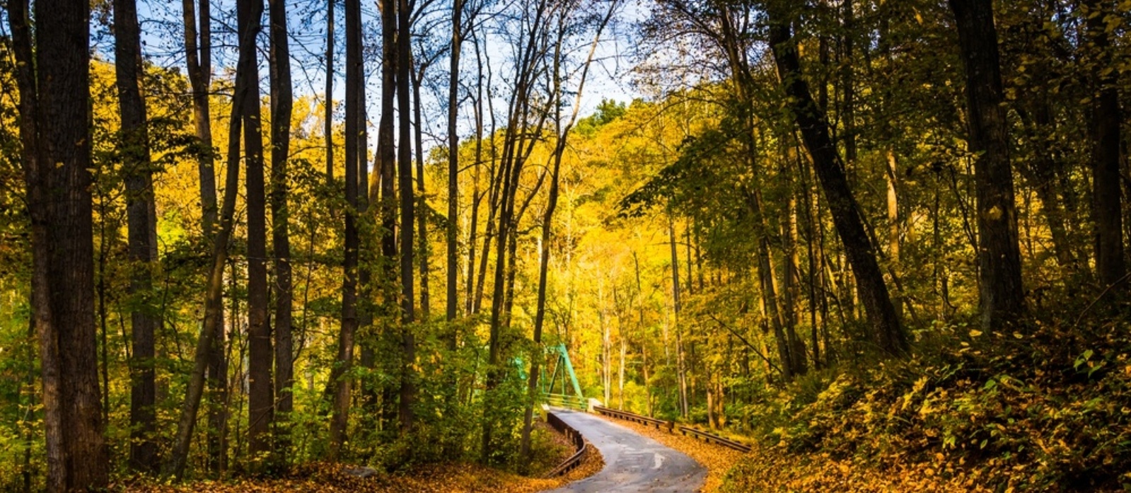 Early autumn color on a road in rural Baltimore County, Maryland-184491-edited.jpeg